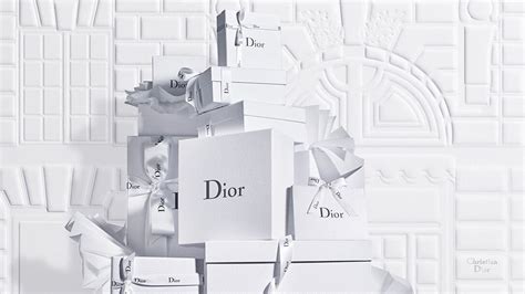 dior inspired|Dior official site.